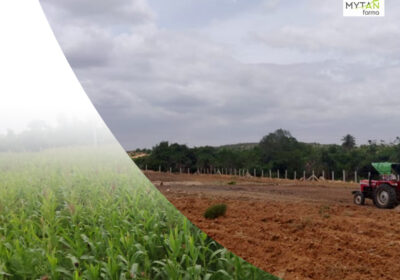 Agricultural Land Investment Near Bangalore – Mytan Farma