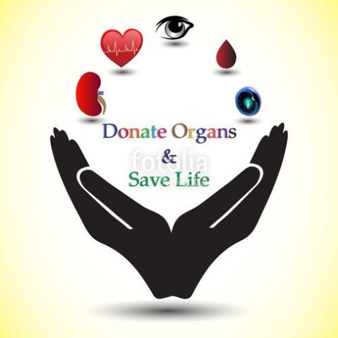 Organ Donation & Treatment