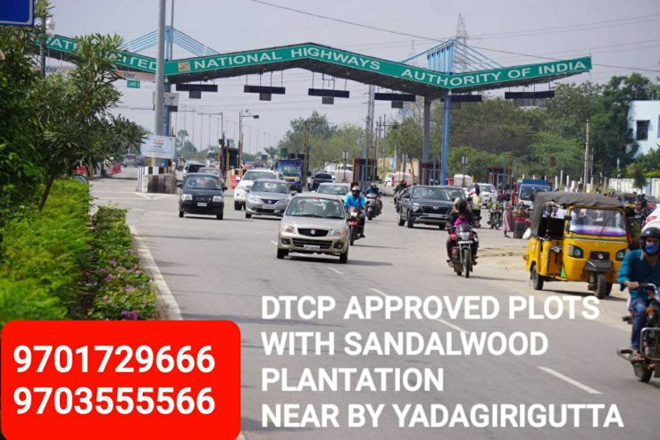 DTCP APPROVED PLOTS WITH SANDALWOOD PLANTATION NEAR BY YADAGIRIGUTTA(ALER) HYDERABAD – TELANGANA