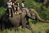 BOOK DOOARS TOUR PACKAGE FROM SILIGURI/NJP WITH BEST PRICE – Meilleur Holidays