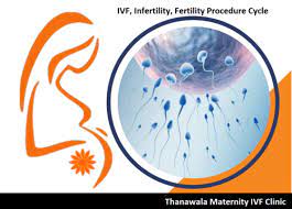 Afforadable Infertility Treatment Cost In Vashi | Thanawala Maternity Clinic