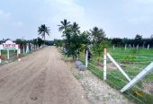 Low Budget Organic Farm @ TINDIVANAM – PONDY ROAD