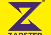 Part Time Job Morning or Evening Zapster Delivery Company