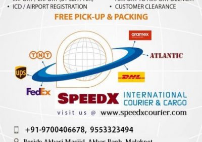 speedx-international-courier-worldwide-493×493-1