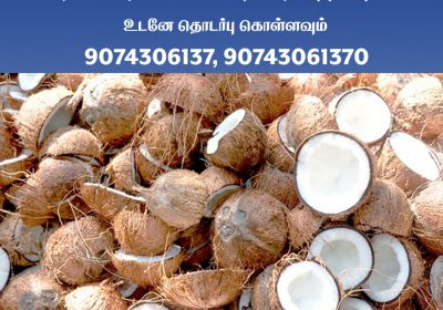 Coconut market live rate in pollachi