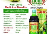 Apollo Noni A Perfect Family Health Juice