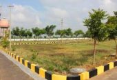 Trichy vayalur Road MM Nagar Site