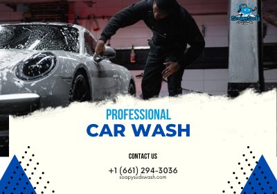 Pro-car-wash