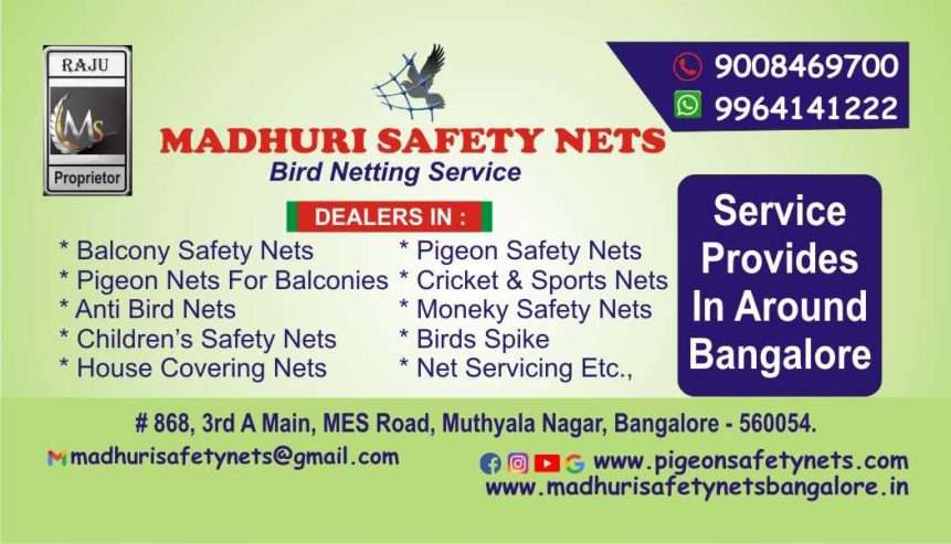 Pigeon Bird Netting Service