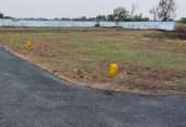 Dtcp Approved Plots For Sale In Kumbakonam
