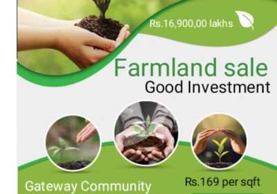 Farmland Sale at Olakkur Melpadi – Tamil Nadu