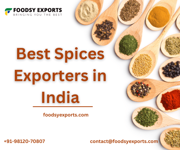 Best Spice Exporters in India | Foodsy Exports
