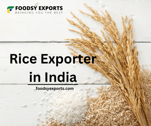 Rice Exporter in India | Foodsy Exports
