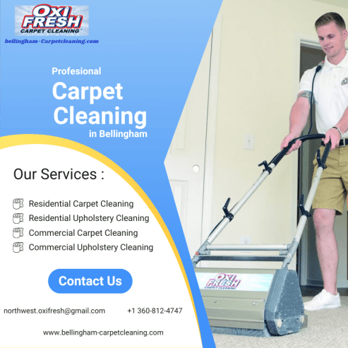 Bellingham’s Best Carpet Cleaners: Expert Service for a Fresh and Clean Home