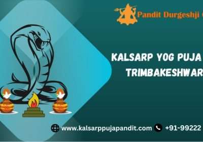 Experience the Perfect Kaal Sarp Dosh Pooja with Pandit Durgesh Guruji at Trimbakeshwar