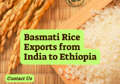 Top Basmati rice exports from India to Ethiopia