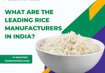What are the leading rice manufacturers in India?