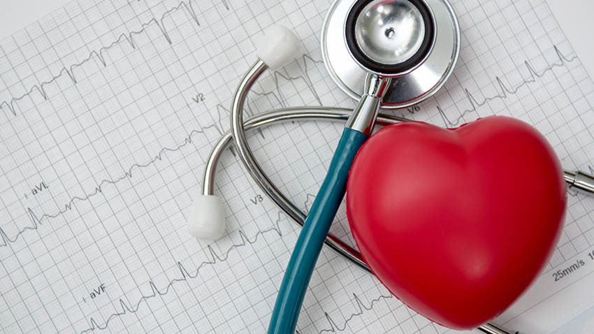 What is the price of a Cardiac Profile blood test?