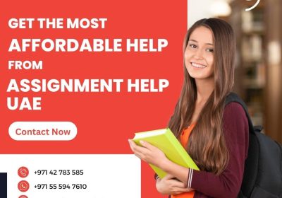 Cheap assignment writing service UAE