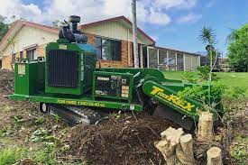 Tree and Stump Removal Gold Coast