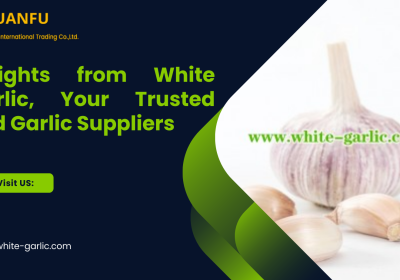 Your-Trusted-Red-Garlic-Suppliers