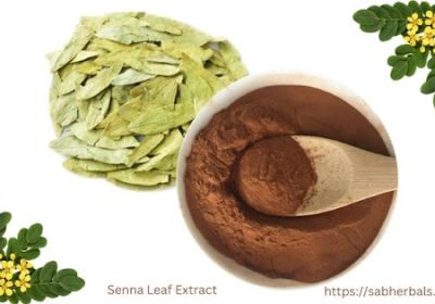 Senna Leaf Extract Manufacturer & Suppliers in India