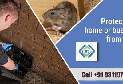 Best Urban pest control services by Urban Pest Control Private Limited