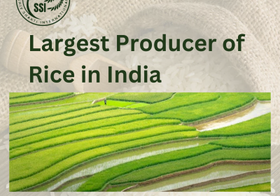 Largest Producer of Rice in India