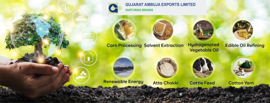 Manufacturer Of Starch, Cotton Yarn, Liquid Sorbital & Soya Products in India | Gujarat Ambuja Exports Limited