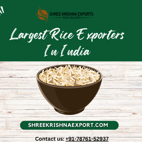 Largest Rice Exporters in India